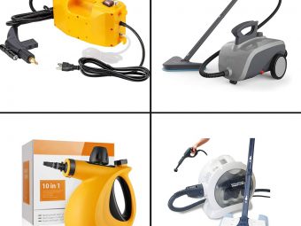 11 Best Professional Steam Cleaners To Buy For Cars In 2022