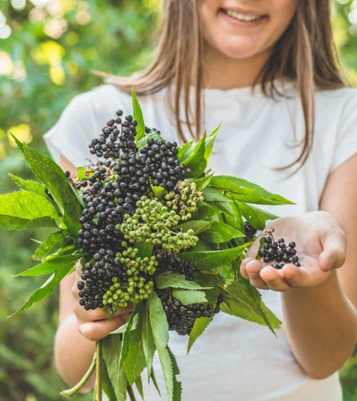 Is Elderberry Safe For Children? Side Effects And Precautions