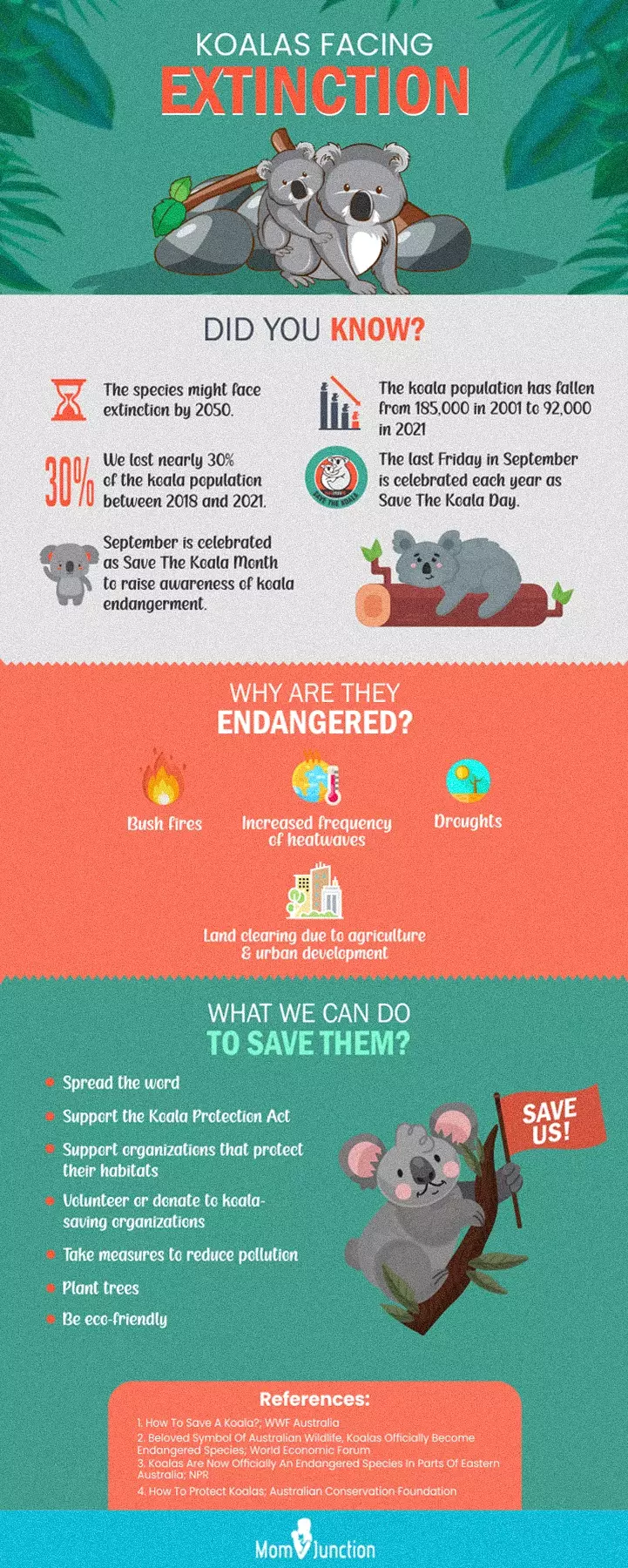 koalas facing extinction (infographic)