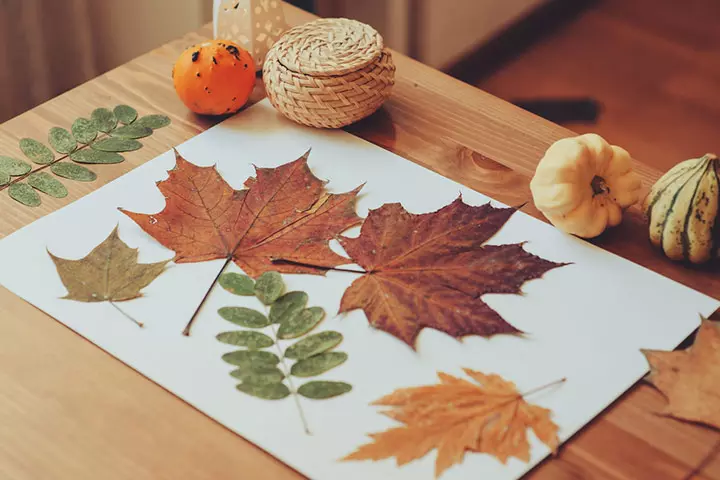 Leaf art, toddler camping activity