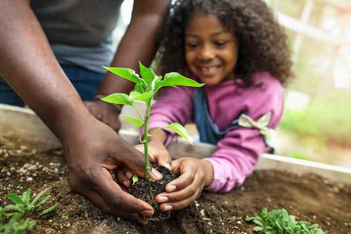 Seeds to increase height in kids