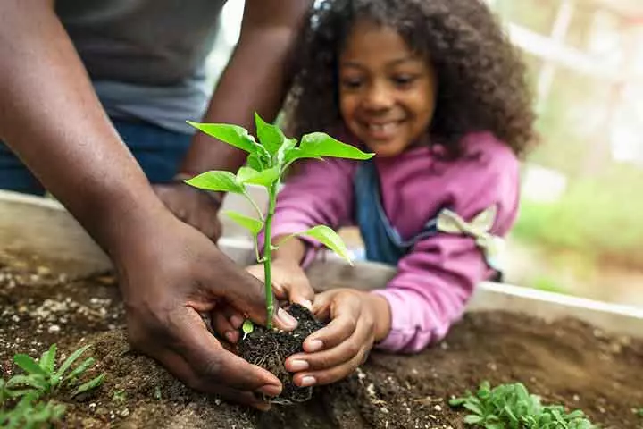 Seeds to increase height in kids