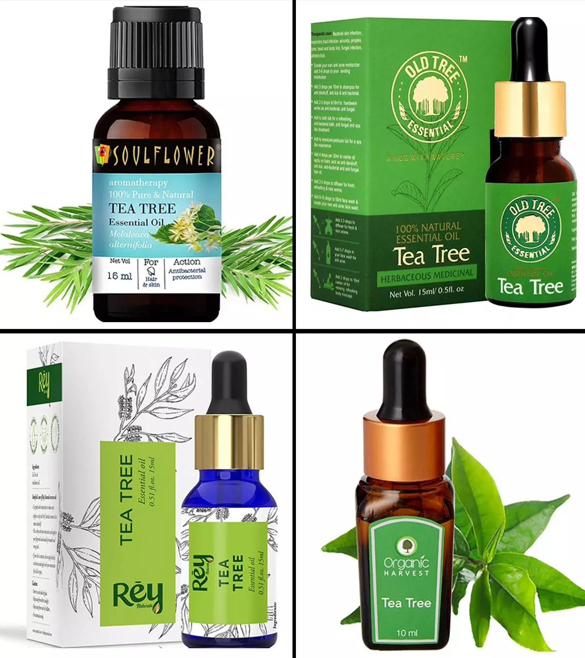 15 Best Tea Tree Oil