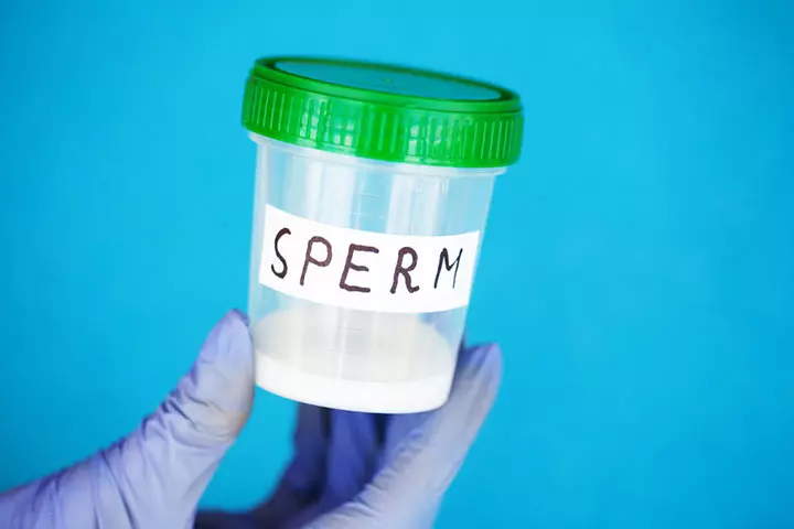 Process Of Freezing Sperm