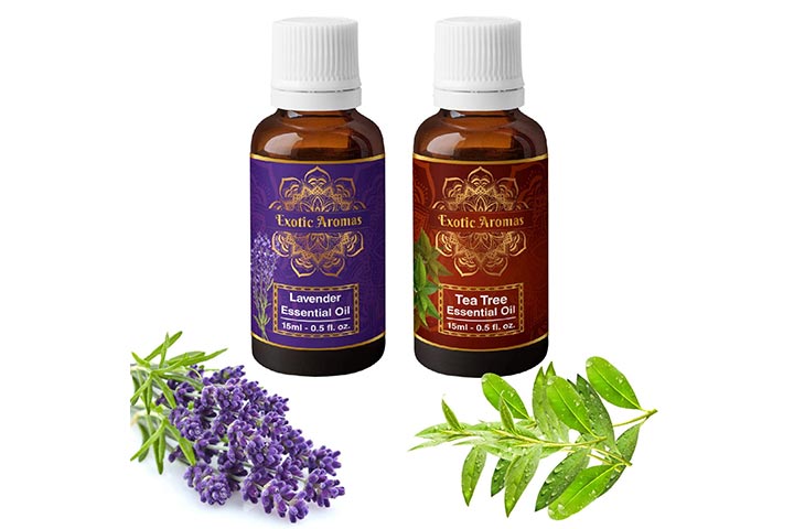 Exotic Aromas Tea Tree Oil And Lavender Oil
