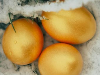 Freezing Eggs: Should You Do It?