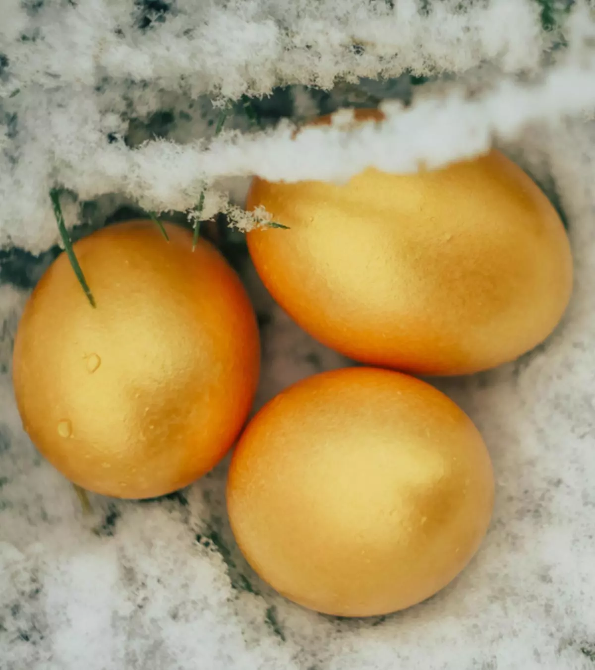 Freezing Eggs Should You Do It