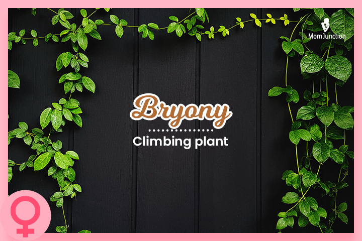 Girl name meaning climbing plant