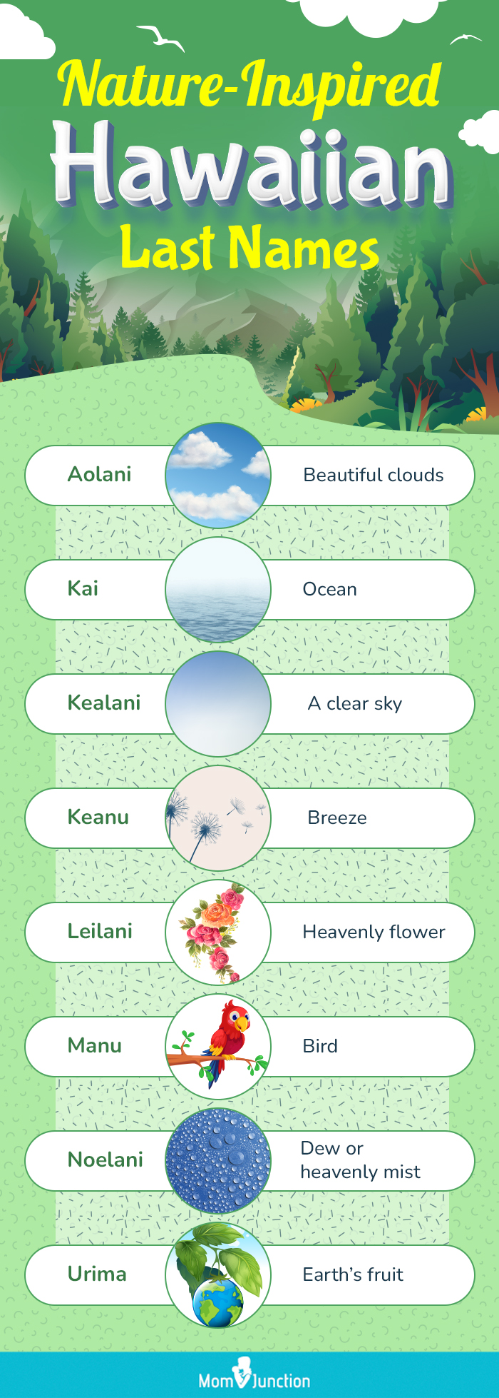 hawaiian last names (infographic)