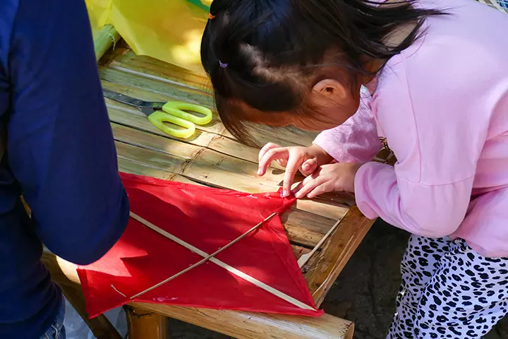 Make and fly a kite