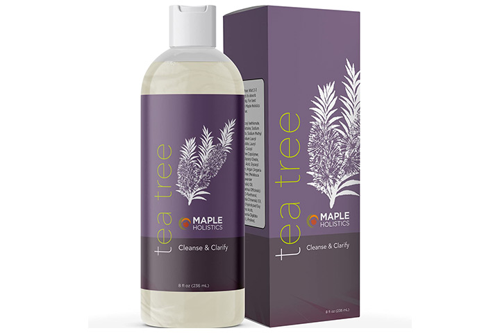 Maple Holistics Tea Tree Oil Shampoo For Scalp Care