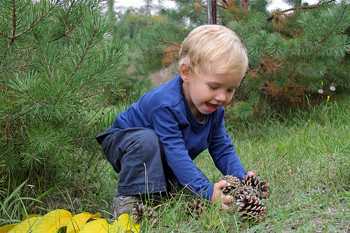 Nature hunting activities for 2 year old