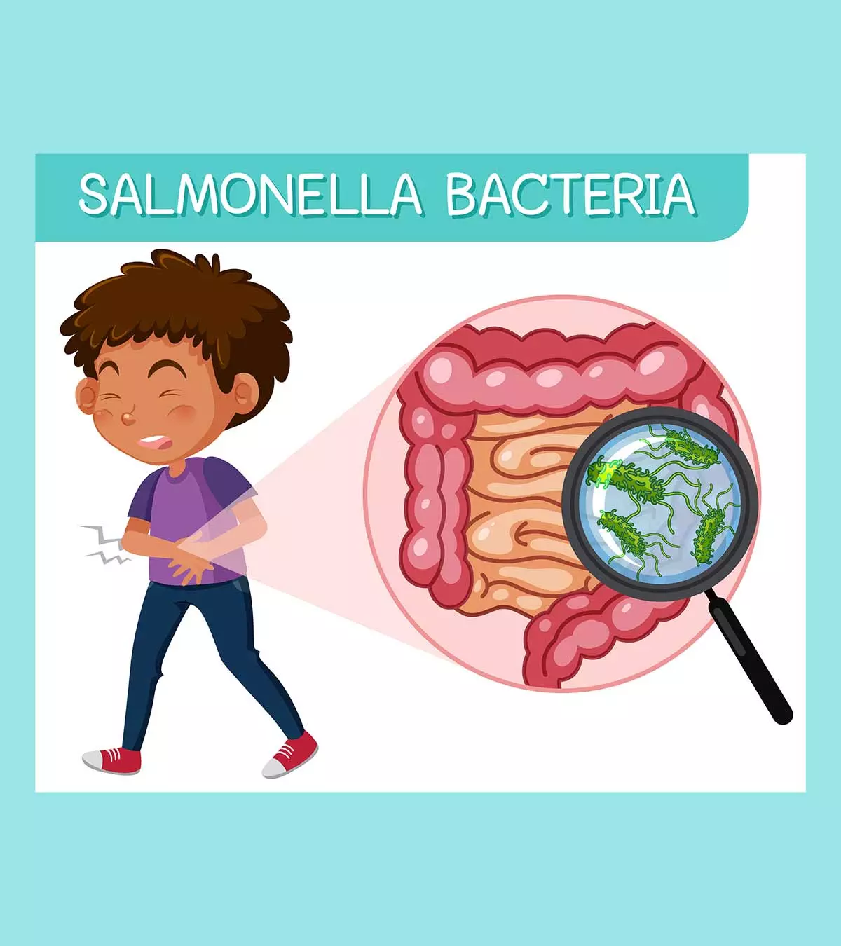 Cause Of Salmonella Infection In Kids