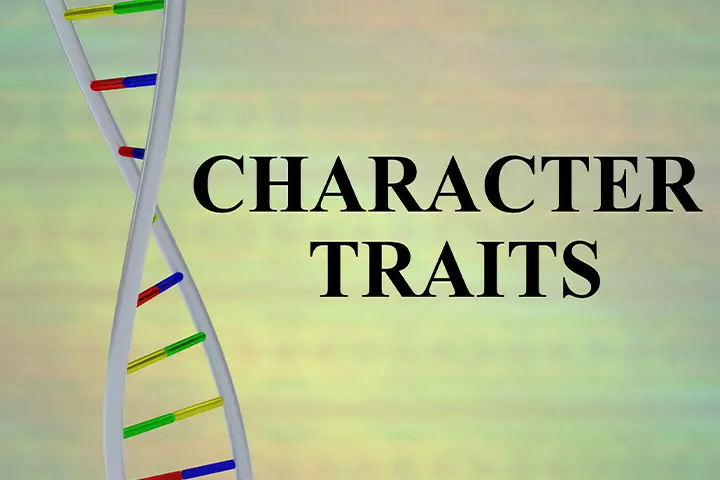 Teach them about different character traits