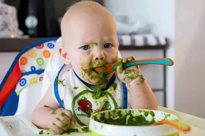 They Are Ready To Eat Solid Food