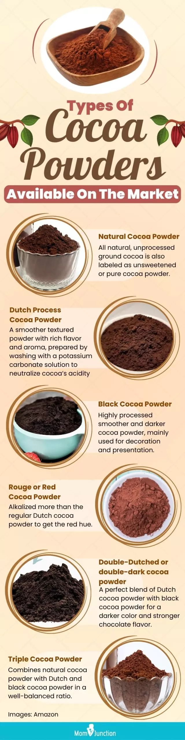 Types Of Cocoa Powders Available On The Market (infographic)