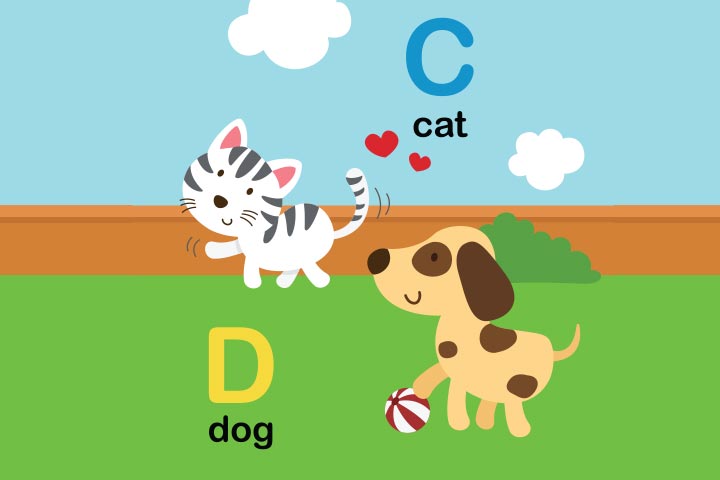 Use images while teaching spelling