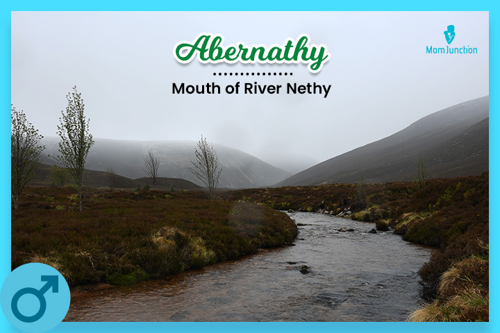 Abernathy means the "mouth of the river Nethy"