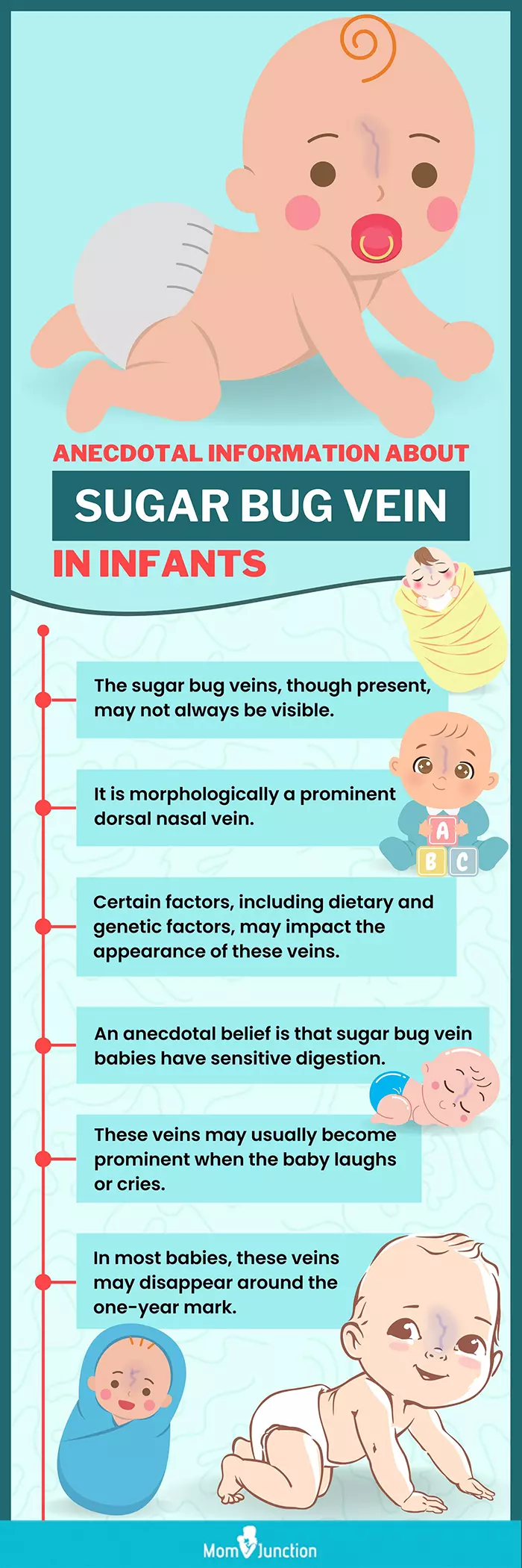 anecdotal information about sugar bug vein in infants (infographic)