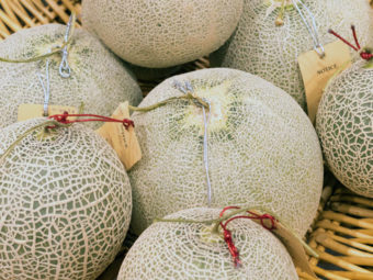 Can Babies Have Cantaloupe Benefits And Precautions To Take