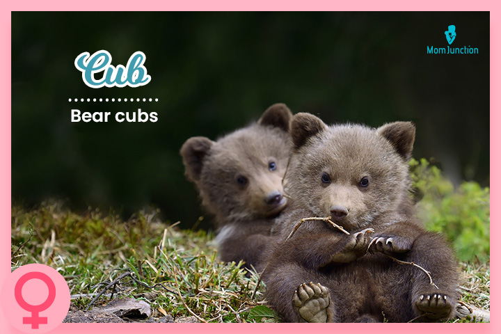 Cub is a cute name for your little one