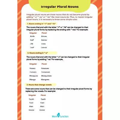 Fill The Blanks With Plural Noun Form