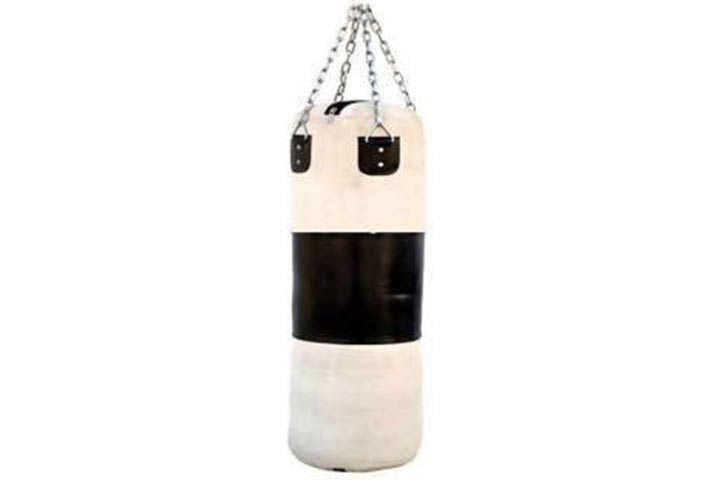 Genric Unfilled Canvas Punching Bag