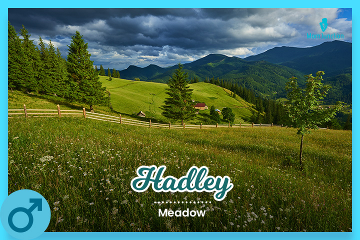 Hadley is a boy name ending in y and meaning "meadow"