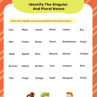 Identify Singular and Plural Noun Form