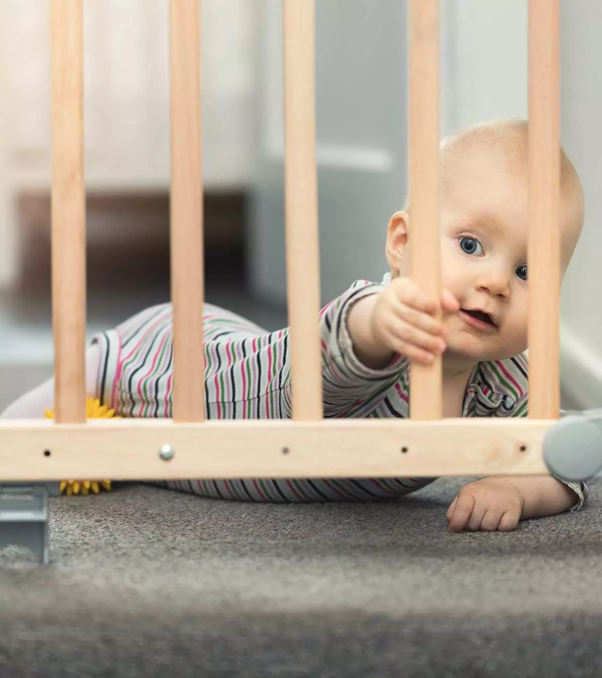 Planning To Get A Baby Gate? Here’s What You Need To Know