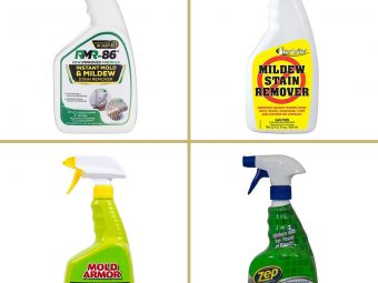 20 Best Shower Cleaners For Mold And Mildew In 2024, Expert-Recommended