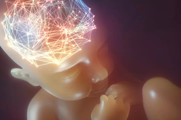 So Why Do Babies Behave This Way