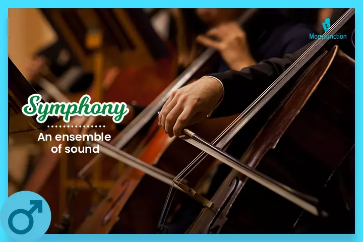 Symphony means "an ensemble of sound"