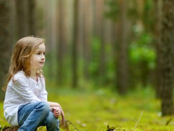 25 Informative And Fun Facts About Forests For Kids