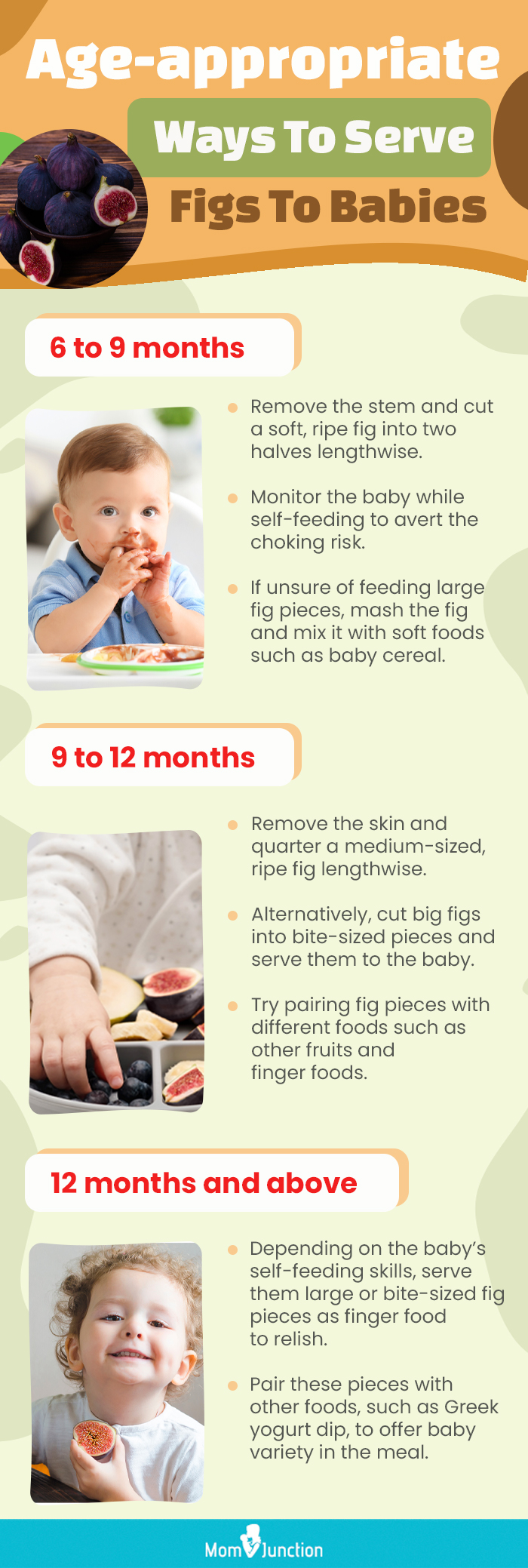 age appropriate ways to serve figs to babies [infographic]