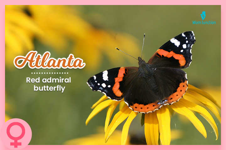 Albanian origin name meaning butterflies 