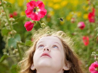 Bee Stings On Kids: Home Remedies And Treatment