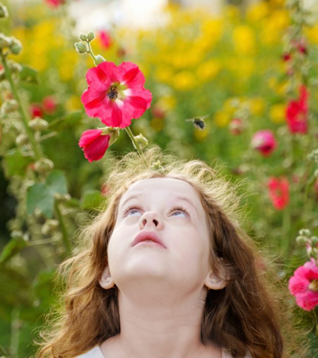 5 Safe Home Remedies To Treat Bee Stings On Kids
