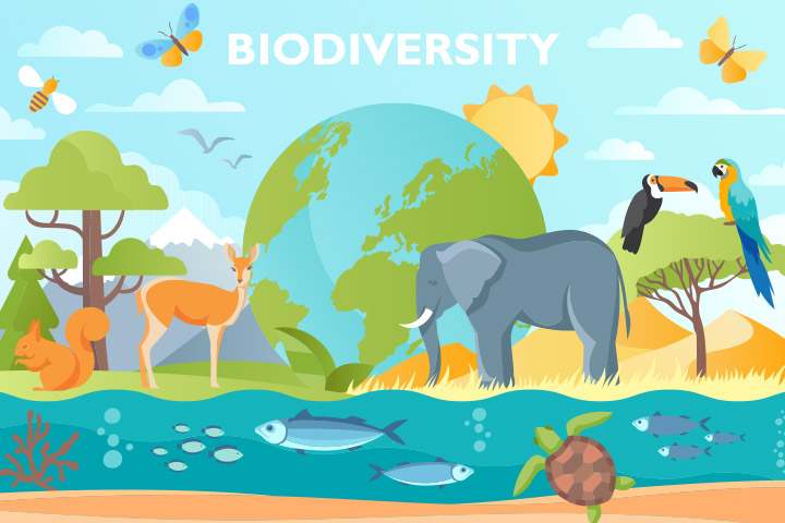  Biodiversity