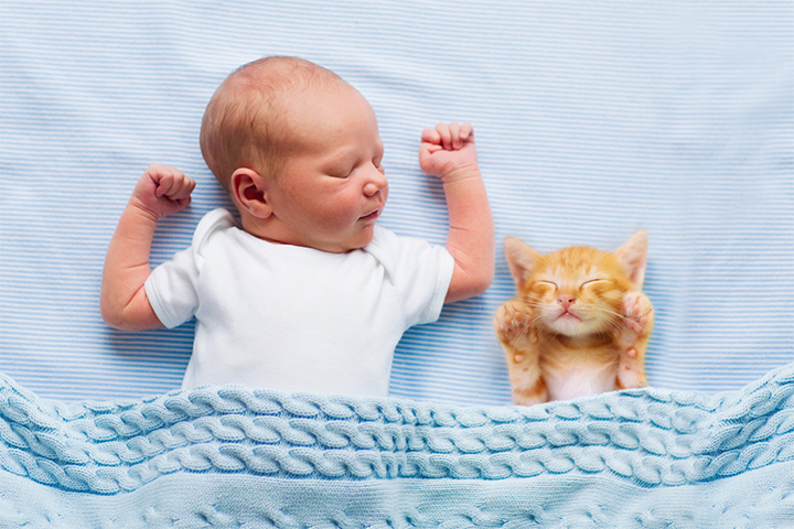 Cat Napping (Short Naps) Baby: Causes And Ways To Deal With It