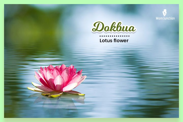 Dokbua refers to the lotus flower