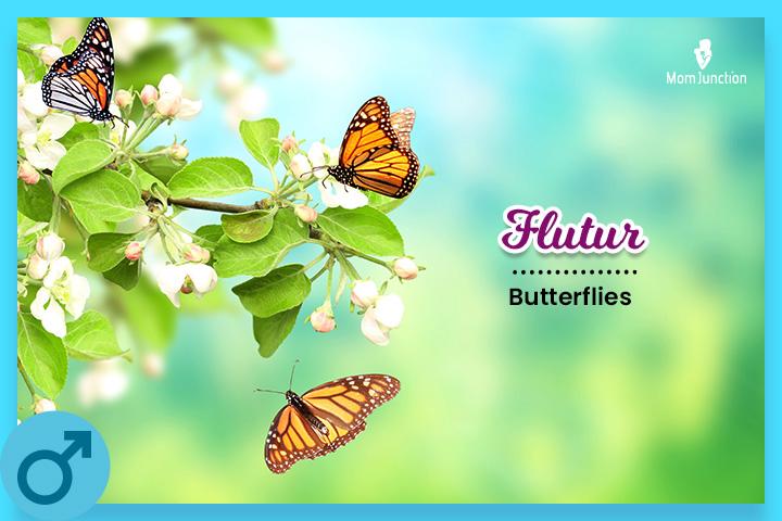 Flutur: Butterflies 