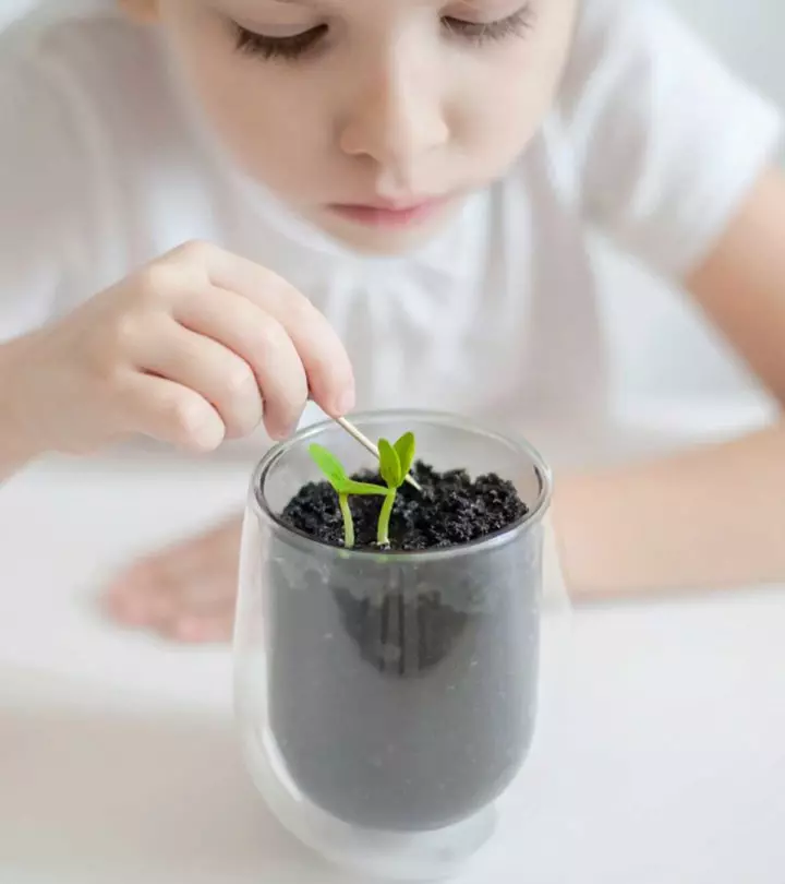 Diagram of plant parts for kids