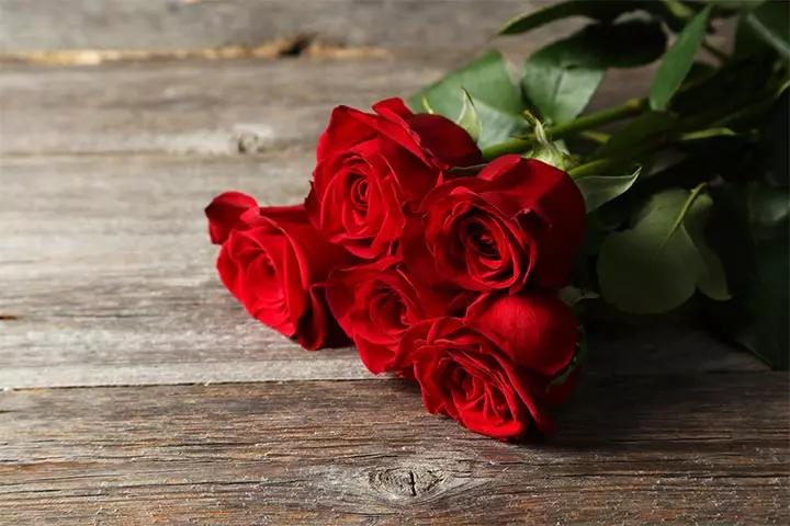 Red rose as the symbol of love
