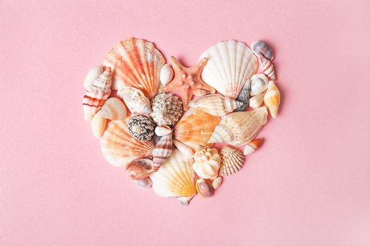 Sea shells as the symbol of love