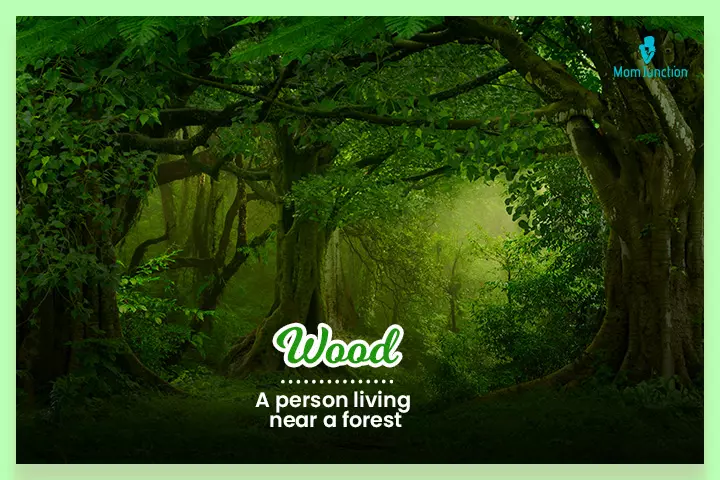 Wood used to be the surname of people living near the forest