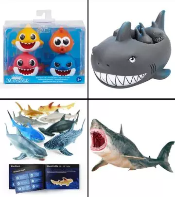 11 Best Shark Toys In 2024, Childhood Educator-Approved