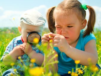 11 Flower Facts For Kids: Types, Parts And Life Cycle