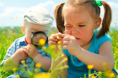 11 Flower Facts For Kids: Types, Parts And Life Cycle