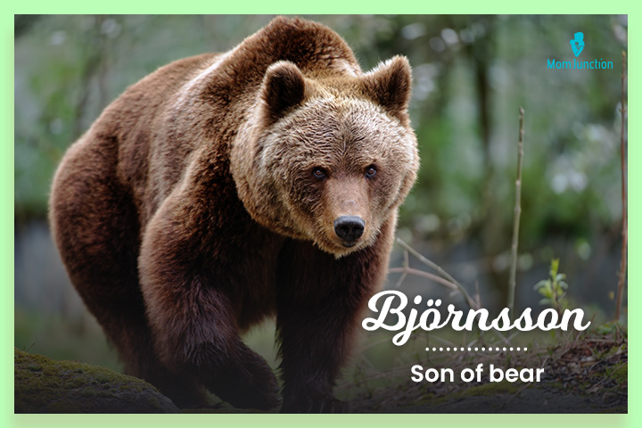 Bjornsson means son of bear